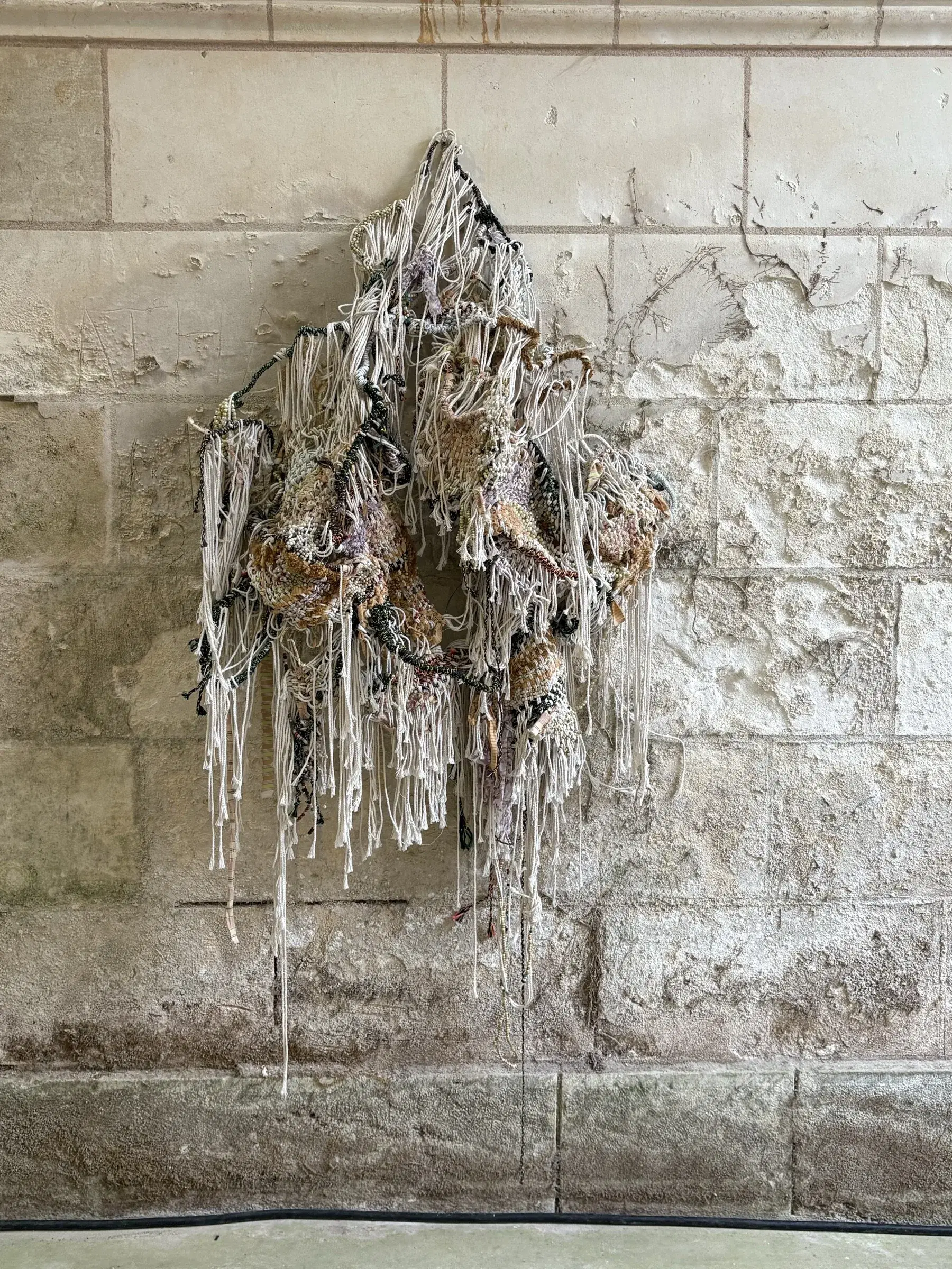 Patrick Bongoy’s suspended assemblage of dark loops and pale hanging fibres against a stone wall.