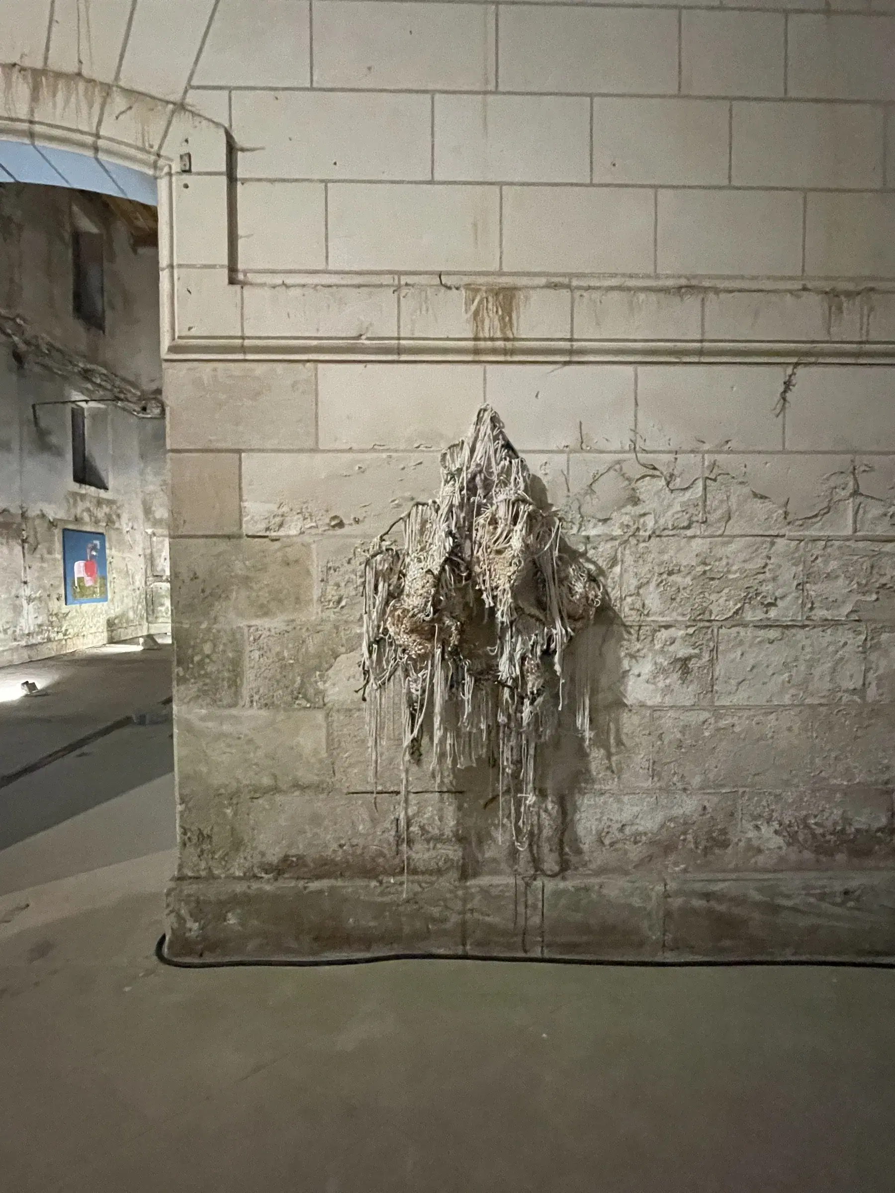 Patrick Bongoy’s fibrous wall sculpture installed in a stone passage.